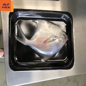 Sustainable seafood exporters