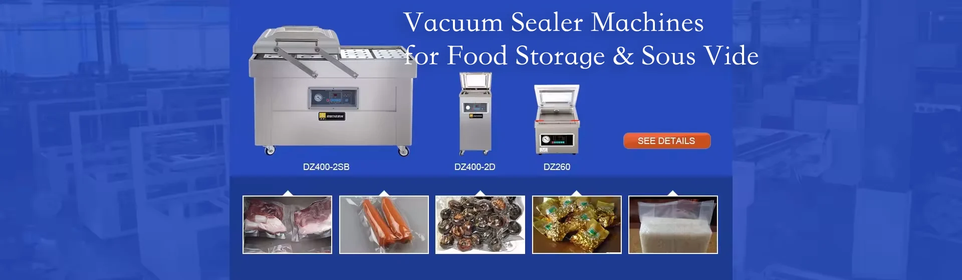 Vacuum Sealer Machines for Food Storage & Sous Vide